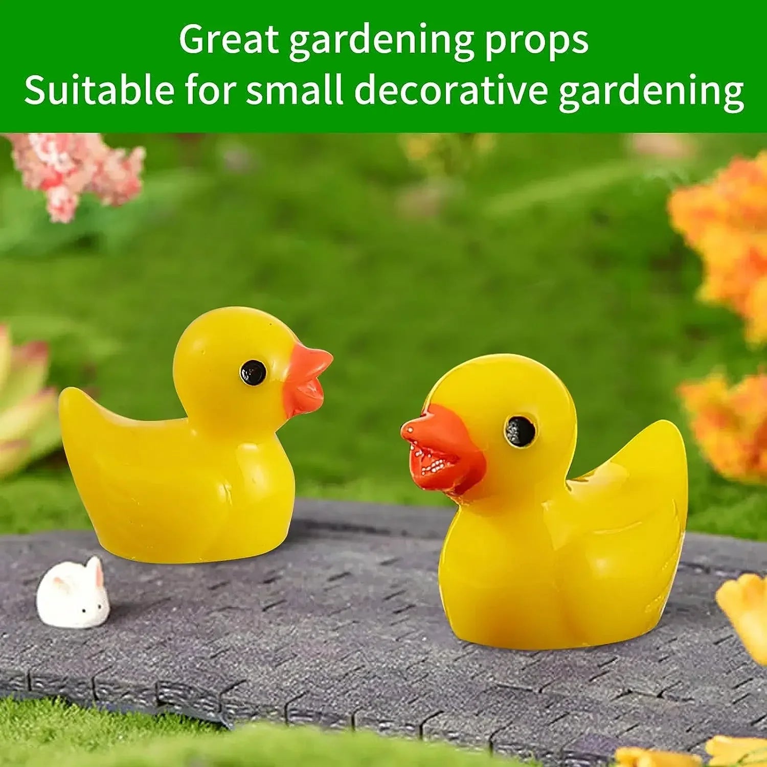 Cute Mini Ducks