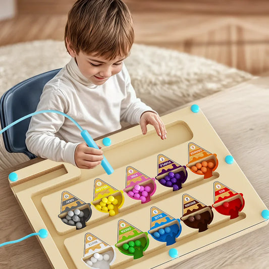 Color Sorting Magnetic Maze Toy – Fun STEM Learning Board