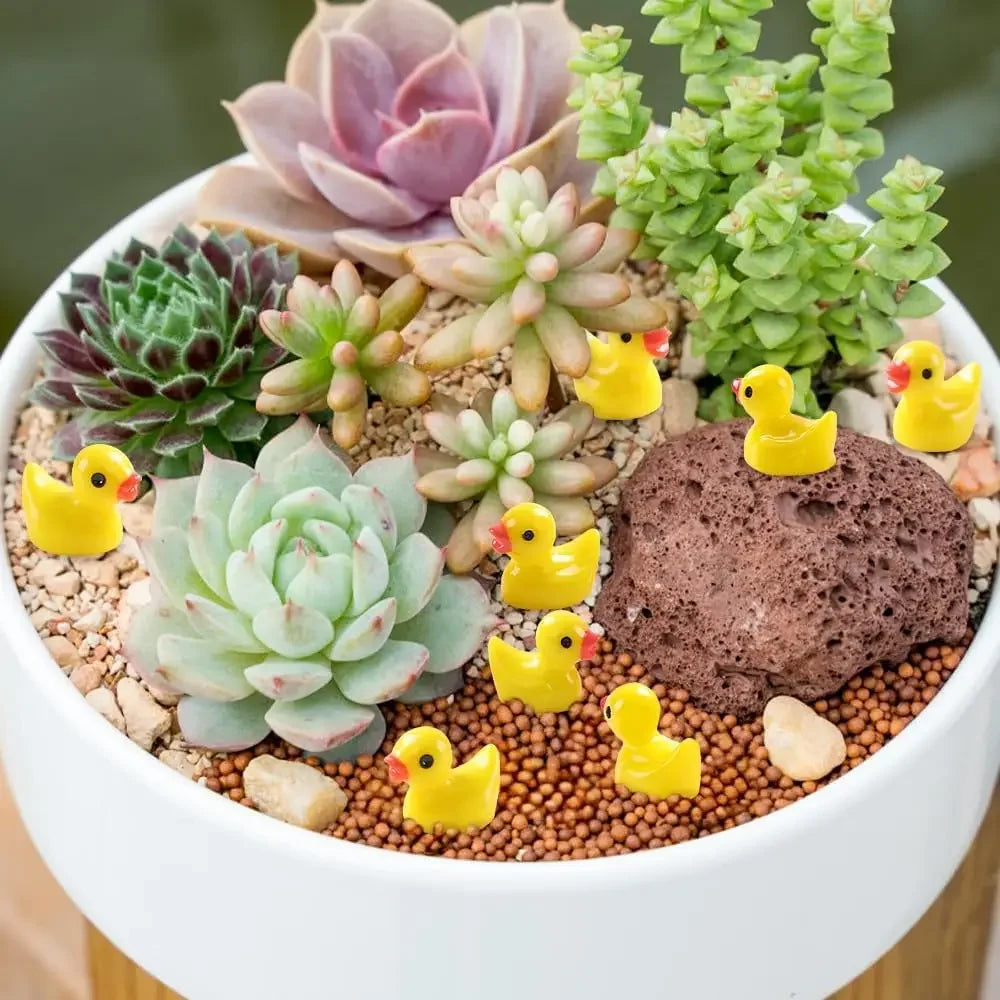 Cute Mini Ducks