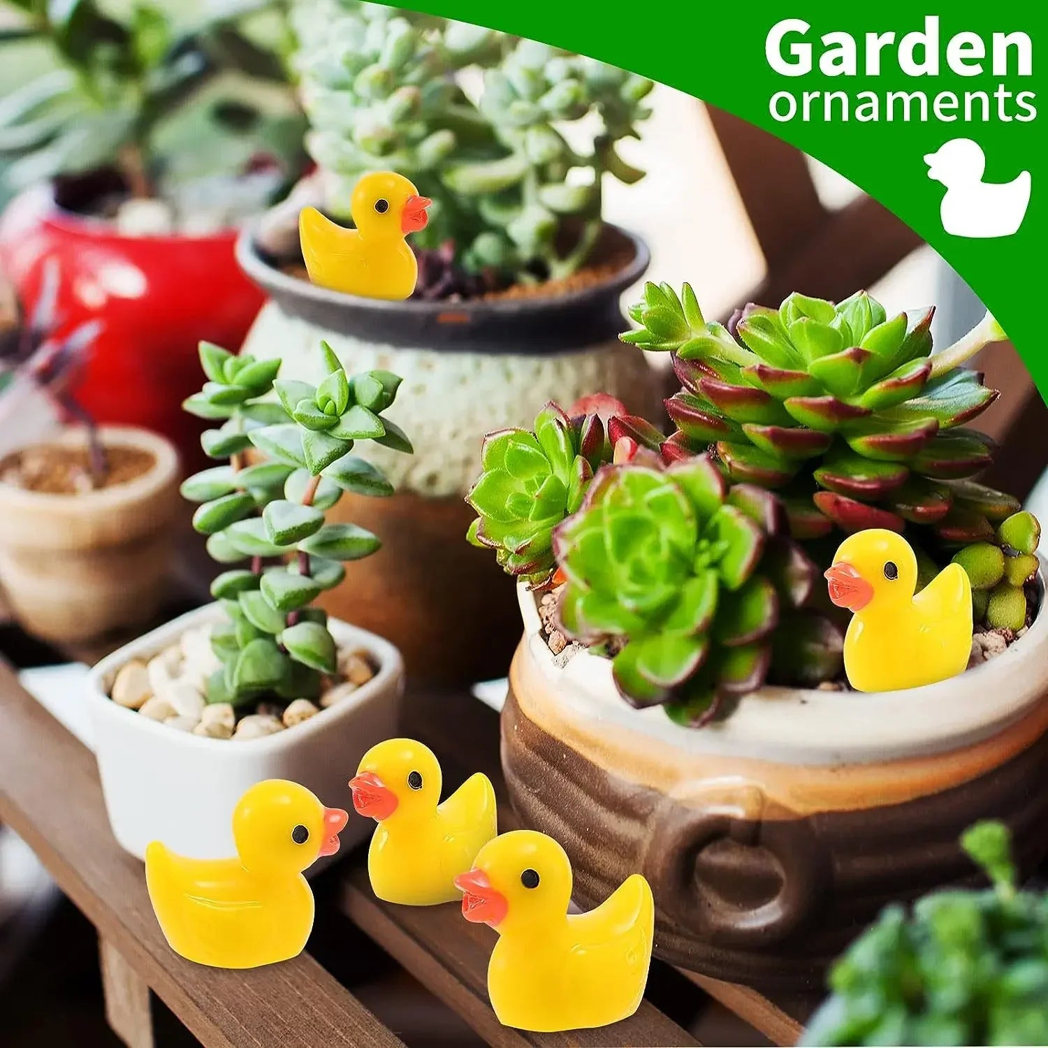Cute Mini Ducks