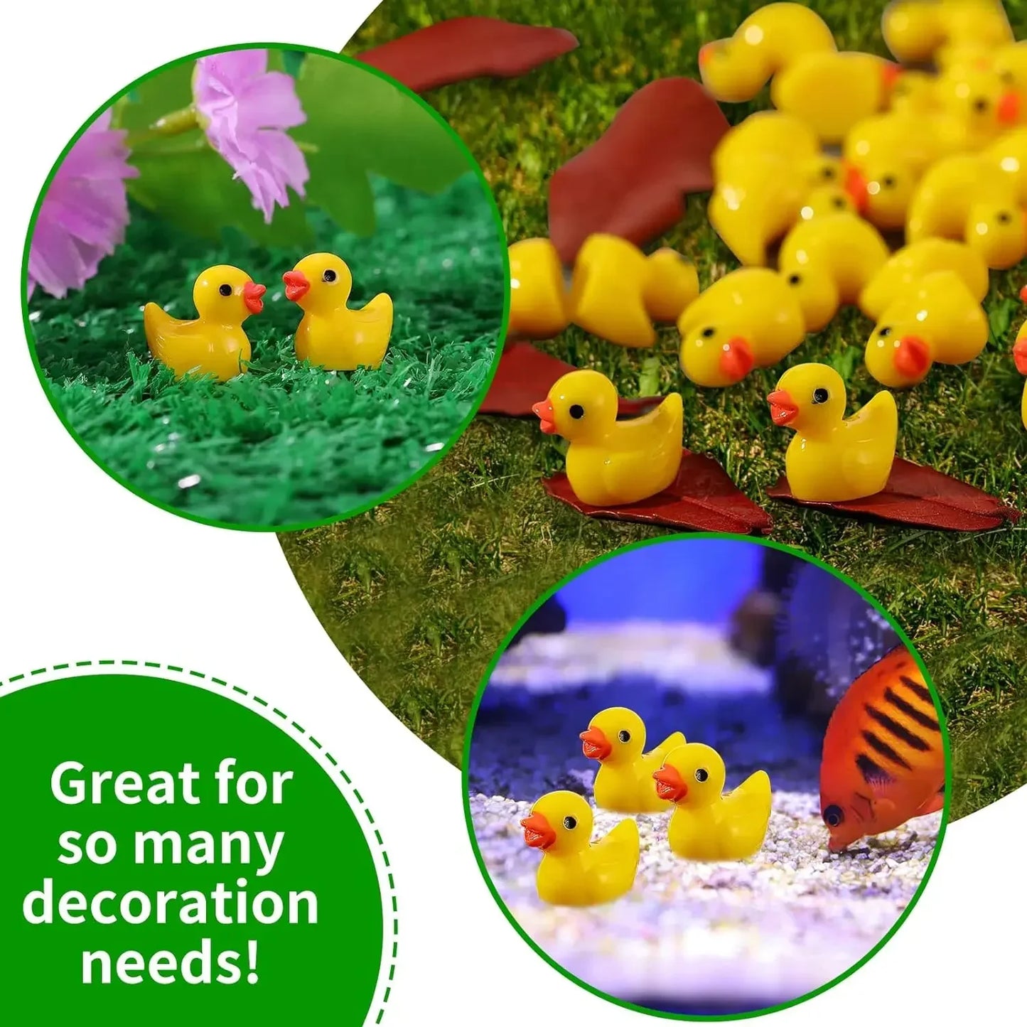 Cute Mini Ducks